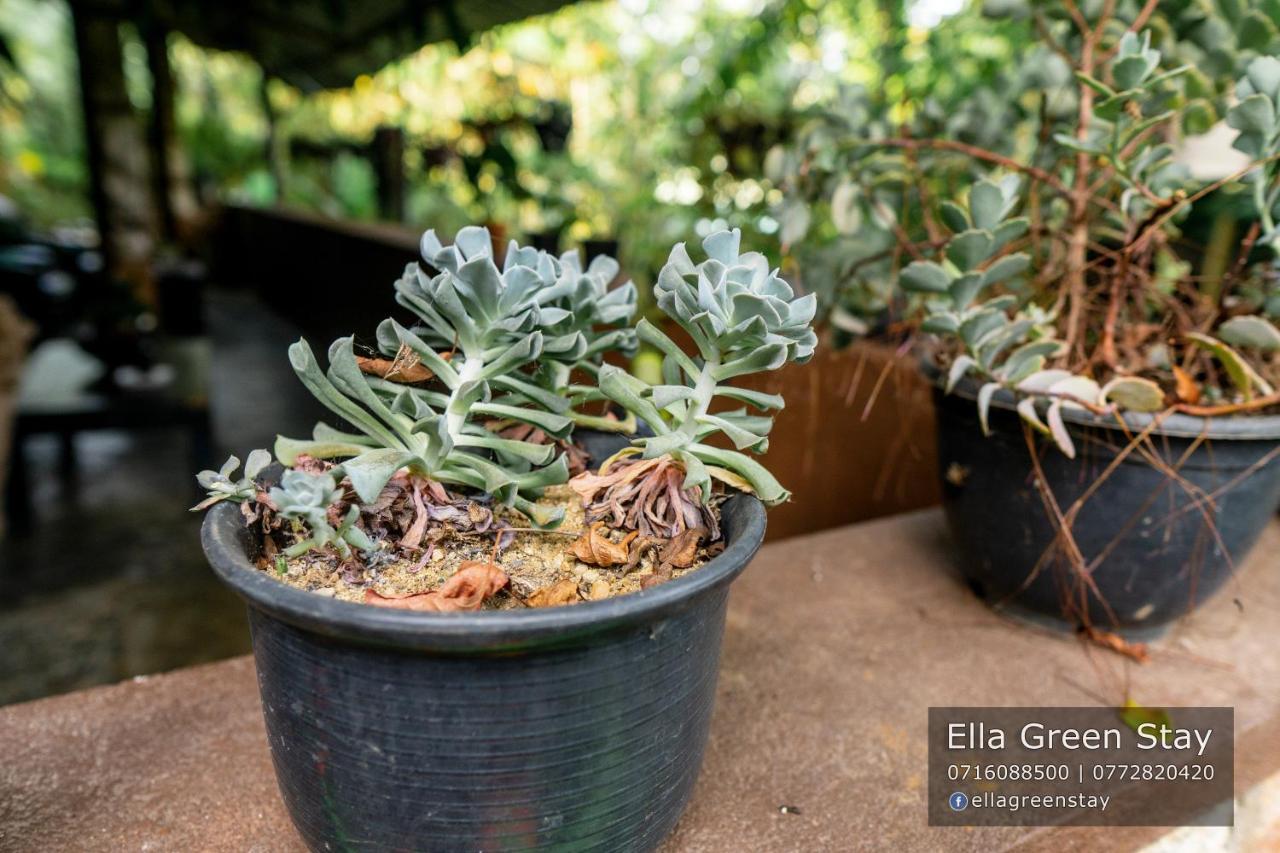 Ella Green Stay Ngoại thất bức ảnh