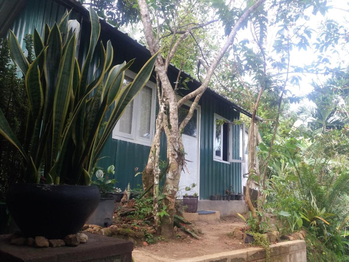 Ella Green Stay Ngoại thất bức ảnh